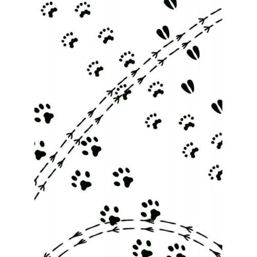 Carpeta Embossing Animal Tracks