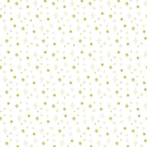 Vellum 12"x12" Estrellas Mujercitas de The Mint Feather